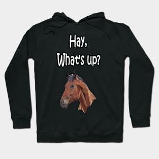 Hay, what's up? Hoodie